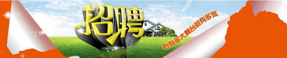 新澳金龙资料大全