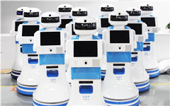 新澳金龙资料大全